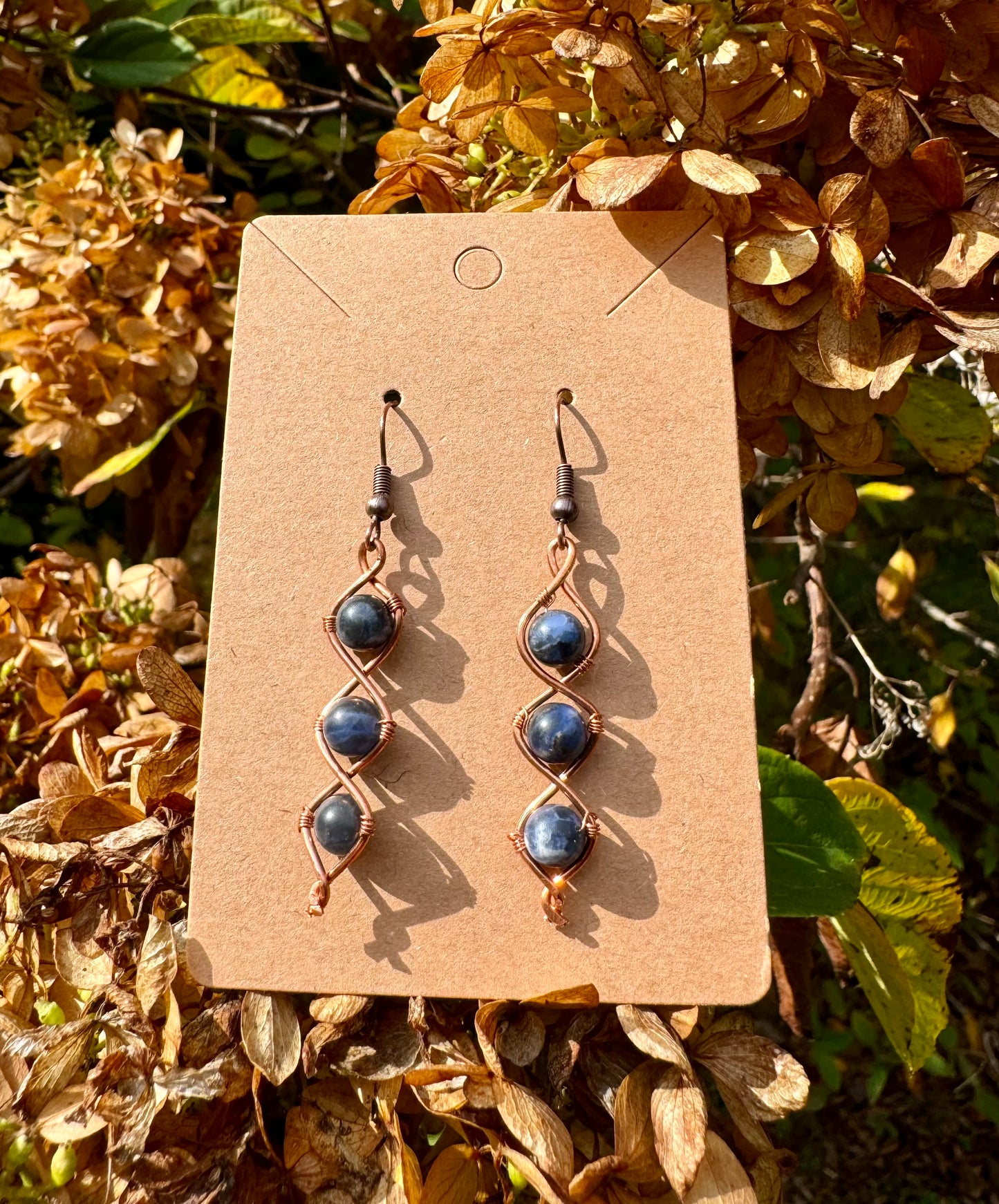 Sodalite Earrings in Copper