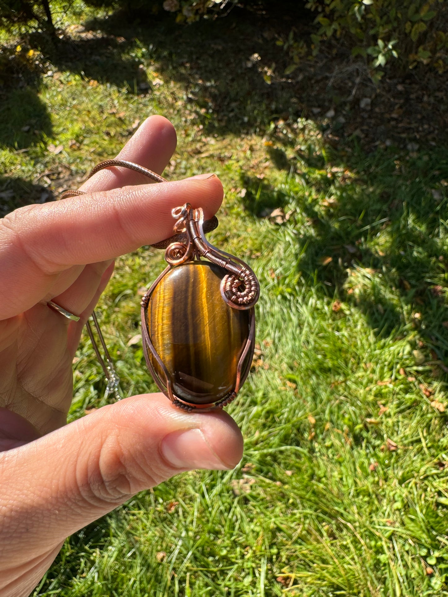 Tigers Eye